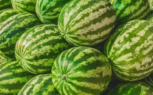 吃瓜比赛每日反差,每日反差笑料连篇