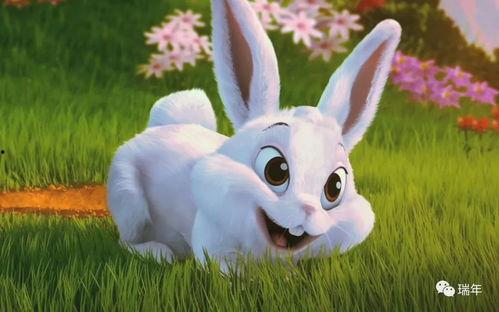 娱乐圈吃瓜第一线十尾兔