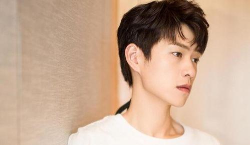 吃瓜娱乐圈任豪