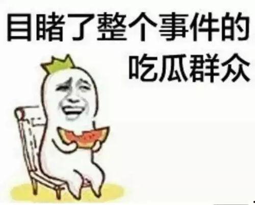 娱乐吃瓜酱自嘲小说,自嘲娱乐界的瓜田小记