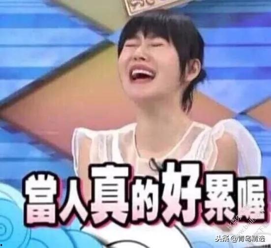 娱乐圈吃瓜 主播小说,吃瓜主播的逆袭传奇