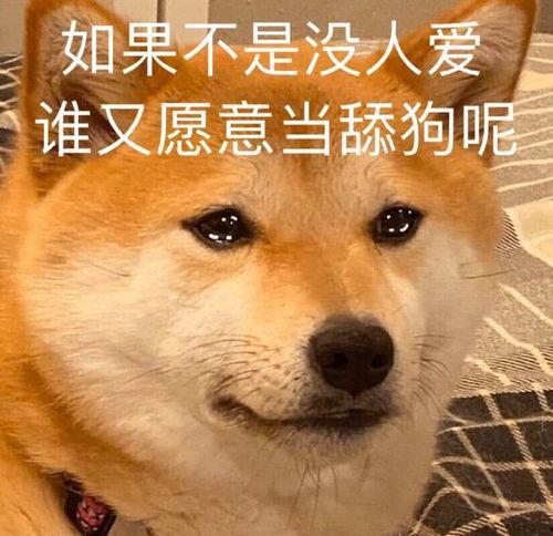 娱乐吃瓜酱舔狗,娱乐界的甜蜜苦涩